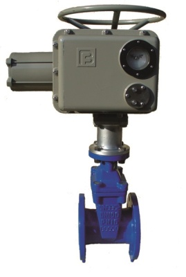 Задвижка с обрезиненным клином фланцевая ABRA с электроприводом Regada В Тюмени