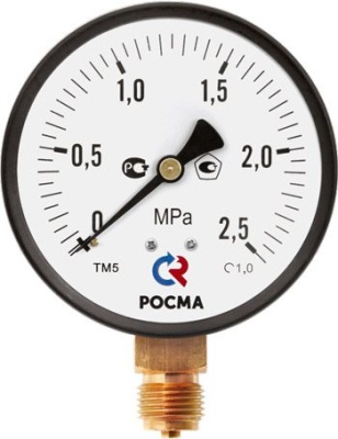 Манометр, Тип ТМ серия 10, общетехнический, с повышенным классом точности, Росма В Тюмени